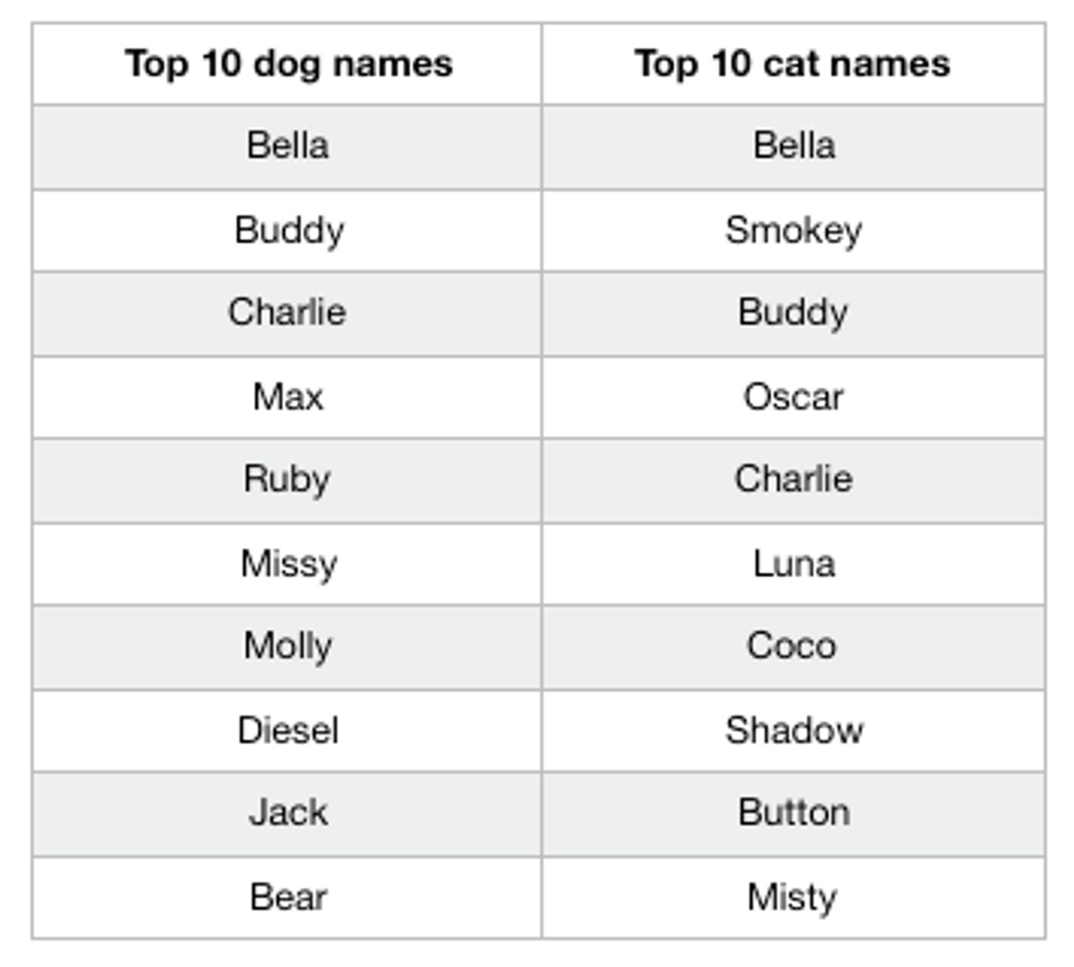 Australia's most popular pet names revealed for cats and dogs | that's ...